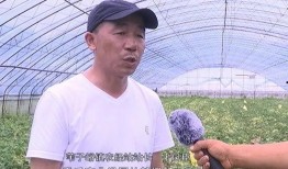 吃瓜群众张大力