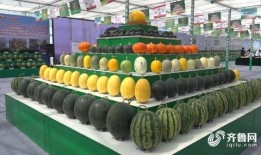 红安吃瓜直播间,揭秘网络红人的幕后故事