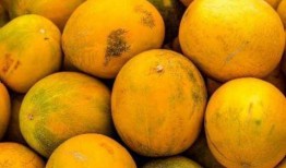 梦见自己吃绿瓜,揭秘绿瓜梦境的神秘寓意