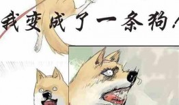 简单吃瓜小说
