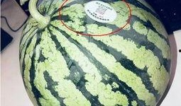 平度网红吃瓜,揭秘背后真相与网络舆论风暴