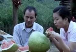 农村吃瓜搞笑,笑料百出欢乐多