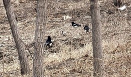 真假少爷吃瓜,一场豪门恩怨的真相追踪