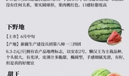 带你吃瓜教课书,揭秘娱乐圈背后的故事