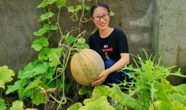 农村吃瓜搞笑,笑料百出欢乐多