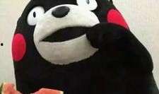 大猫吃瓜爆料表情包,揭秘网络热图的趣味与内涵