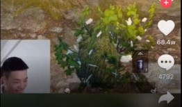 捕捉旭旭吃瓜,揭秘娱乐圈幕后真相