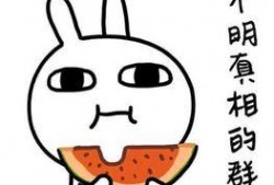 吃瓜污的意思,网络热词背后的文化现象与心理解读