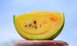 情侣之间吃红瓜,情侣共享的浪漫滋味