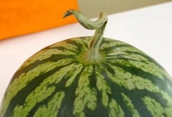 吃瓜小绿,揭秘娱乐圈那些不为人知的幕后故事