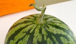 吃瓜小绿,揭秘娱乐圈那些不为人知的幕后故事