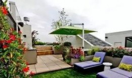 东城顶楼吃瓜,揭秘都市楼顶的神秘“吃瓜”现象