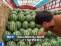 全国吃瓜交流群