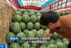 全国吃瓜交流群
