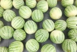 吃瓜真悠闲,揭秘娱乐圈幕后故事