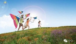 带你吃瓜放风筝,带你领略春日美食与风筝的浪漫之旅