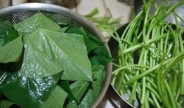 aka叶子吃瓜,揭秘娱乐圈的幕后故事