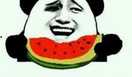 bbx吃瓜群众,网络热议背后的真相与反思