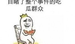 吃瓜事件教练,揭秘教练背后的真相与争议