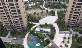 东城顶楼吃瓜,揭秘都市楼顶的神秘“吃瓜”现象