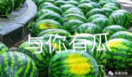 吃瓜 学生,揭秘学生圈的那些事儿