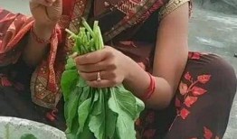 印度女性吃蒲瓜,蒲瓜美食之旅