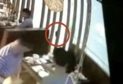 拳谱吃瓜视频,跟随吃瓜视频探寻武术奥秘