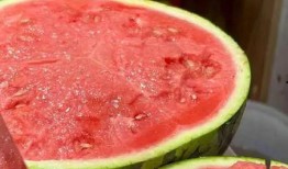 还有吃瓜的么,吃瓜群众集结！揭秘娱乐圈最新热点事件