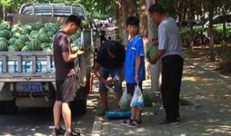 泗洪吃瓜群众事件视频,一场网络舆论的风暴与反思