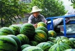 卖瓜老板吃生瓜蛋子视频