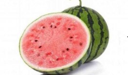 吃麒麟瓜嘴发麻,一嘴麻感背后的神秘传说