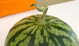 吃瓜怎么选好瓜,挑选美味佳品