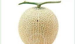 不同的吃瓜方法,解锁不同吃瓜姿势，尽享夏日清凉时光