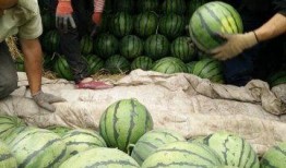 长春近期热门吃瓜事件,揭秘近期爆红吃瓜事件背后的真相