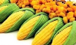 做了痔疮手术吃哈密瓜