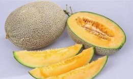 吃蜜瓜会便秘吗,蜜瓜食用后便秘？揭秘蜜瓜与便秘的关系