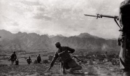 不知吃瓜冲锋人,一场关于成长的冒险之旅