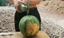 工地吃瓜哥,揭秘建筑工地的趣味生活