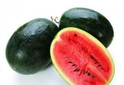 红瓜胶值得吃吗怎么吃,红瓜胶营养价值与食用方法解析