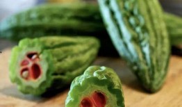 高圣博吃瓜,揭秘娱乐圈幕后真相