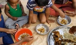 小朋友吃鸡瓜,小馋猫的鸡瓜美食之旅