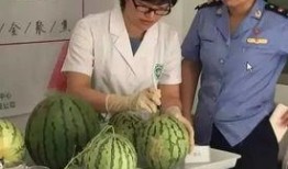 天津吃瓜群众直播,街头巷尾的市井百态实时呈现