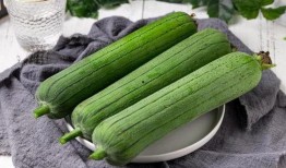 立秋吃宜吃瓜,探寻传统美食中的养生智慧