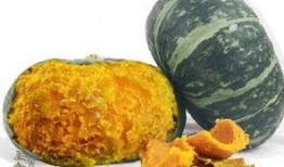 凯金日常吃瓜,瓜田里的欢乐时光