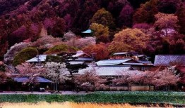 岚山映像吃瓜,揭秘网红美食背后的吃瓜故事