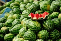 吃瓜达人张三,揭秘娱乐圈幕后故事