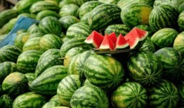 吃瓜达人张三,揭秘娱乐圈幕后故事