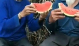 奶奶吃瓜的视频,甜蜜瞬间，温馨回忆