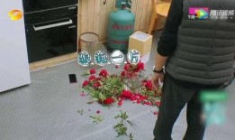 如何礼貌吃瓜,文明观战，品味娱乐盛宴