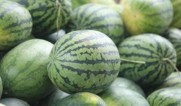 疫情下的吃瓜,揭秘网络舆论的狂欢与反思